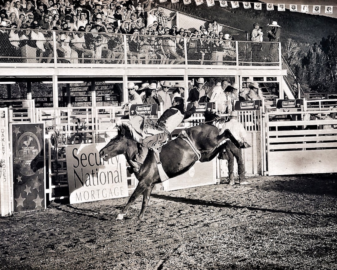 'Bronco'