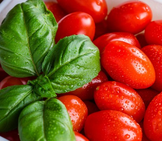 방울토마토 파종 시기와 키우는 방법 알아보기 1