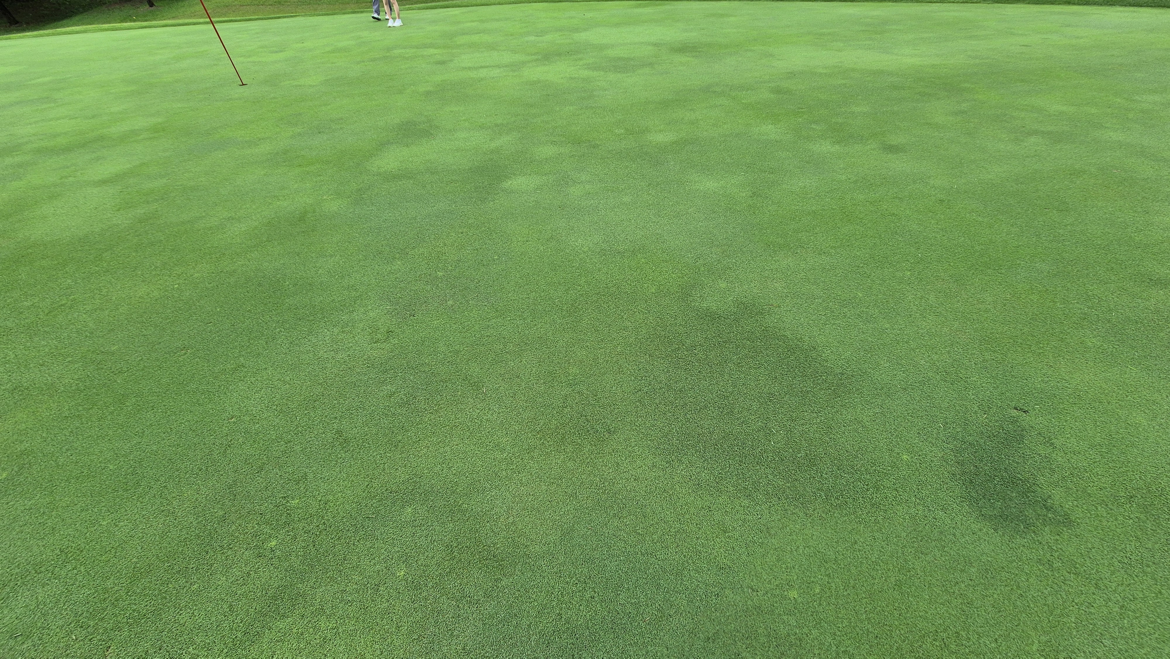 뉴서울cc 예술in-문화in 코스 라운드 후기