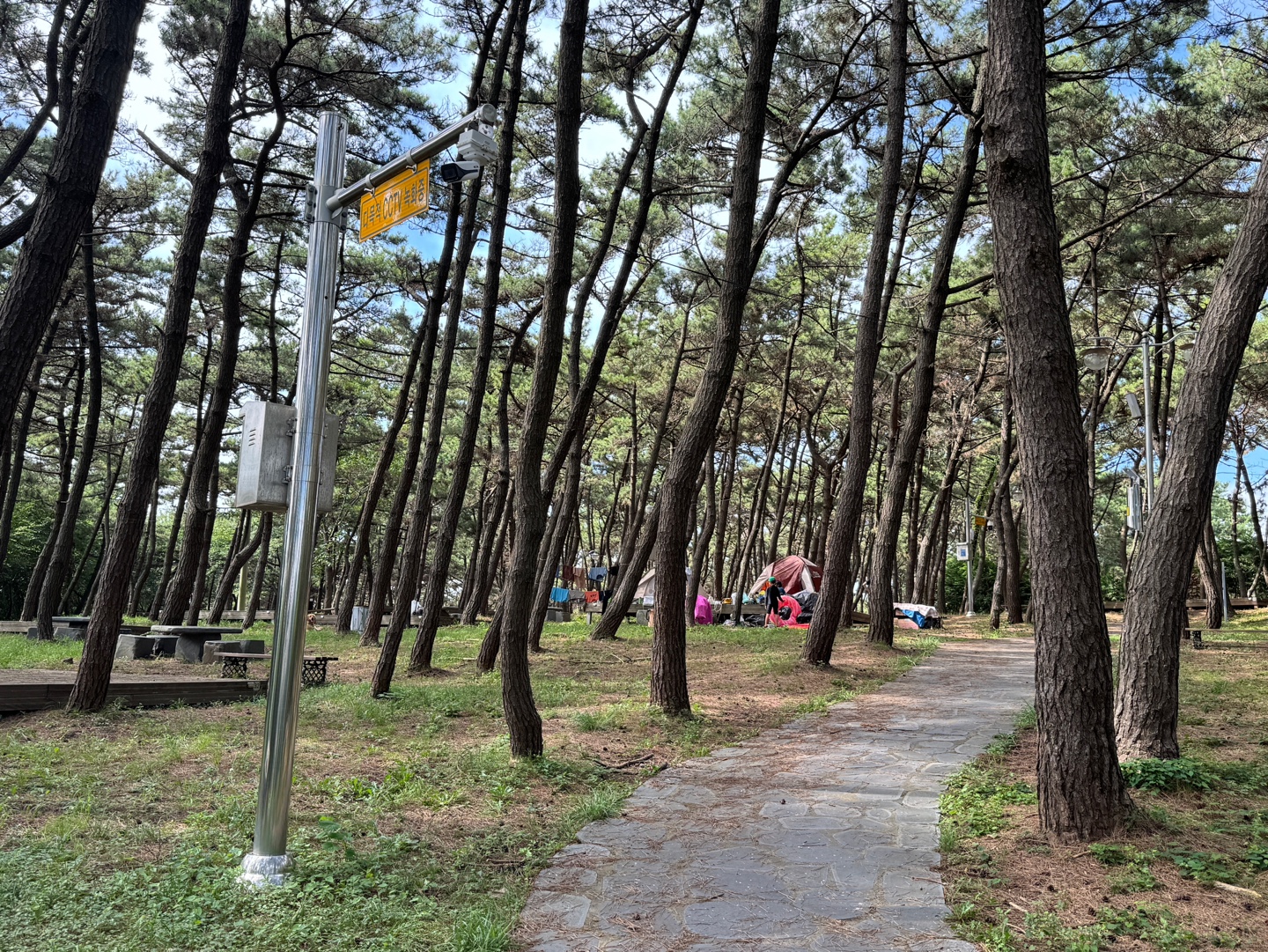 대천해수욕장캠핑장