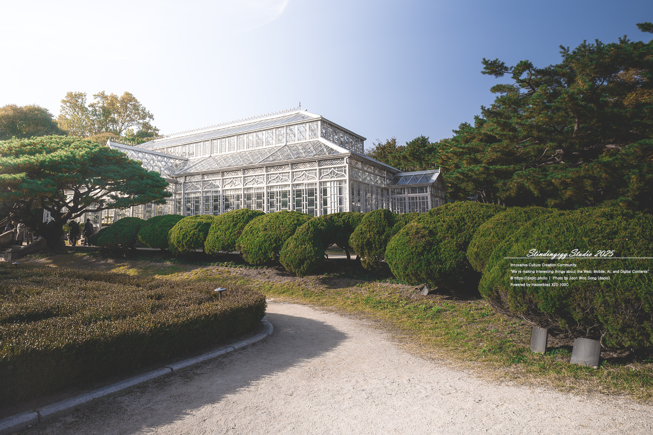 #서울 #창경궁 #궁궐 #조선 #왕