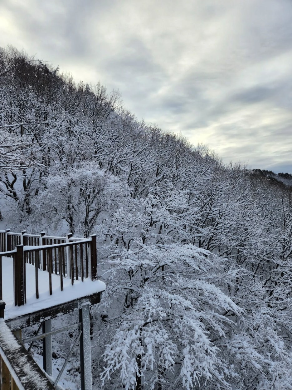 충북 영동 도마령 겨울 드라이브 명소의 재발견