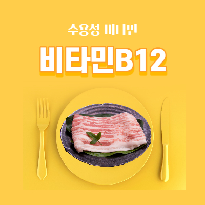 수용성비타민 비타민B12