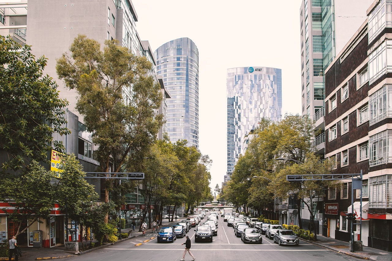 도심 빌딩 사진