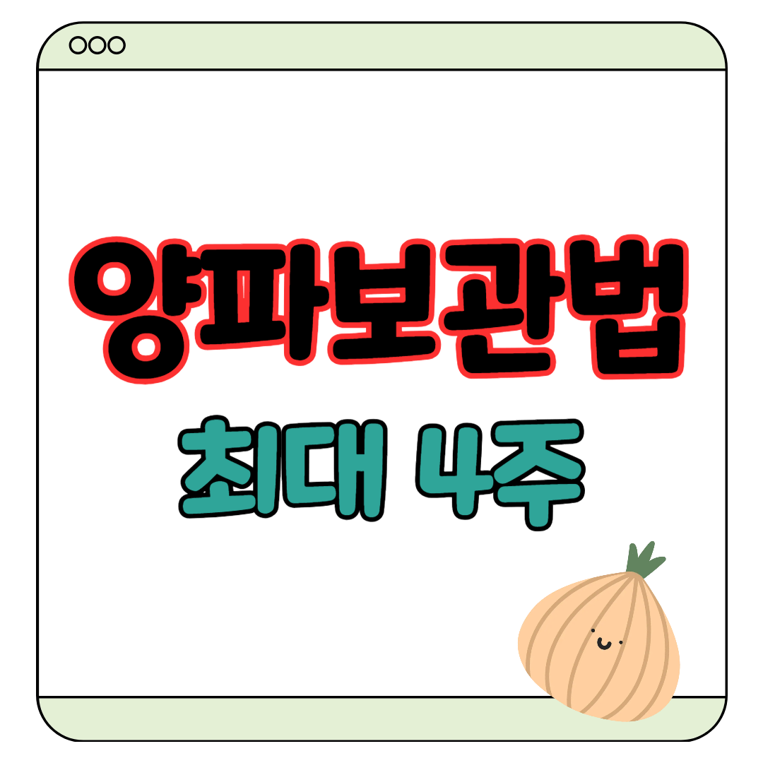 양파 보관법