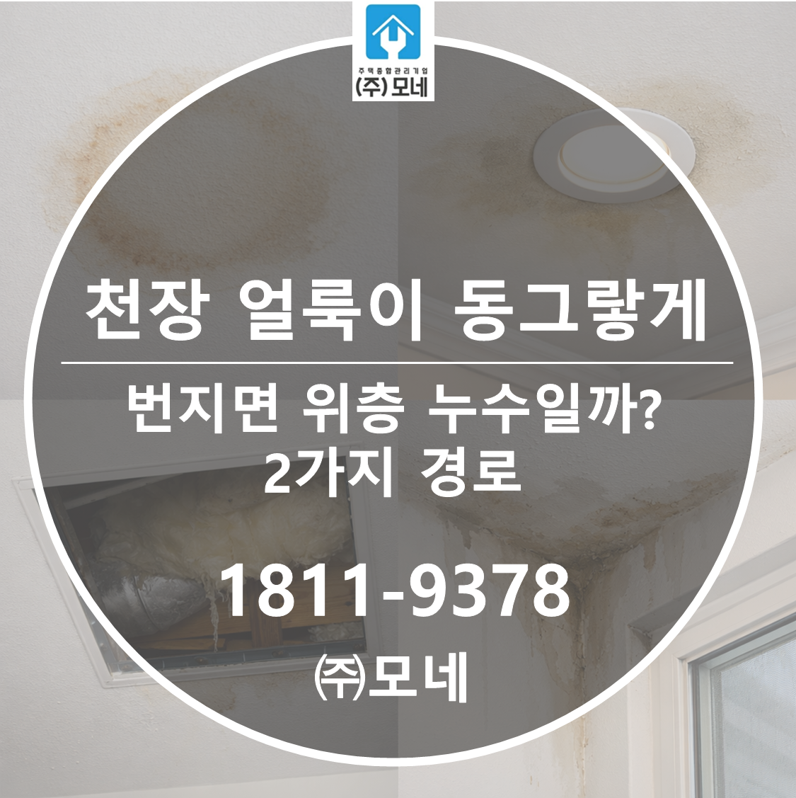 천장 얼룩이 동그랗게 번지면 위층 누수일까? 2가지 경로