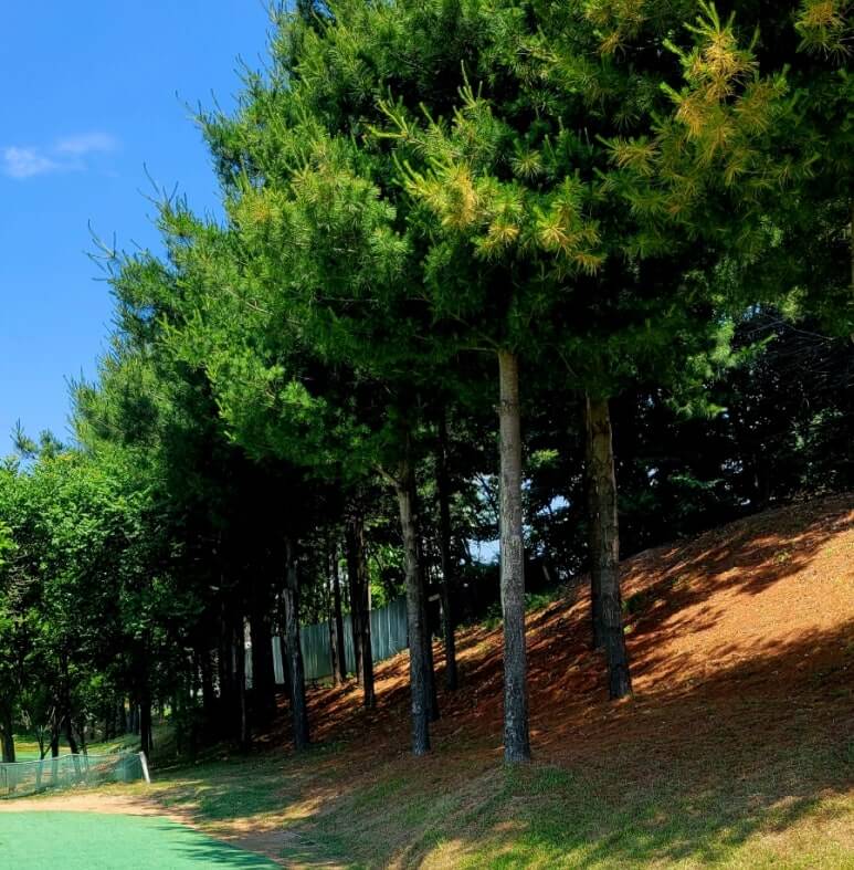 양주 나리공원 파크골프장 구석구석 이미지 2