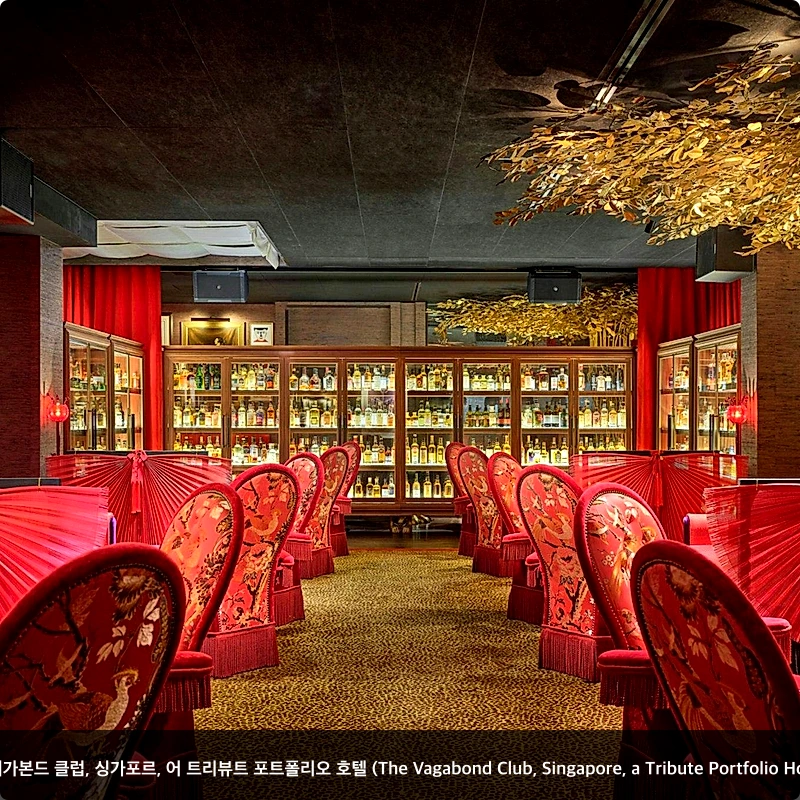 더 배가본드 클럽, 싱가포르, 어 트리뷰트 포트폴리오 호텔 (The Vagabond Club, Singapore, a Tribute Portfolio Hotel)_7