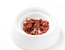 개가 생고기를 먹어도 괜찮은가