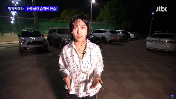 JTBC 러브버그 습격 실험
