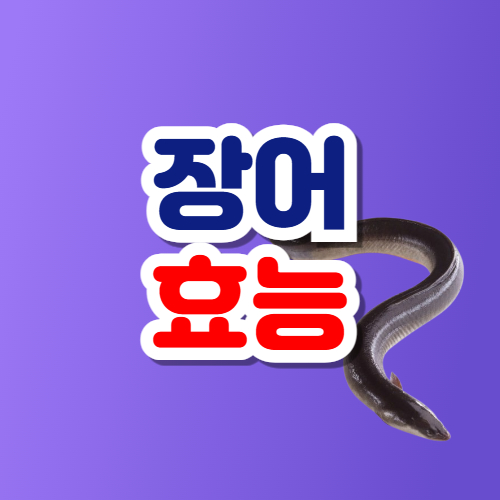 장어 효능