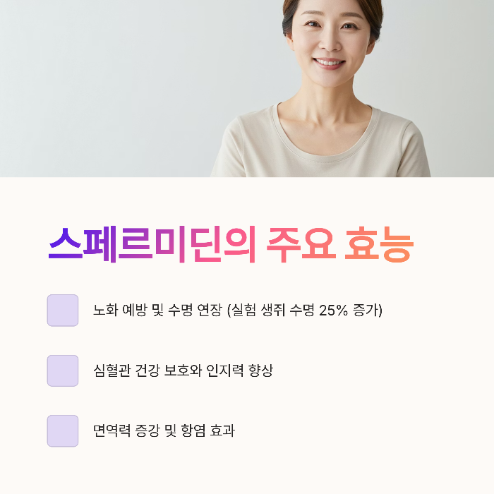 스페르미딘의 주요 효능