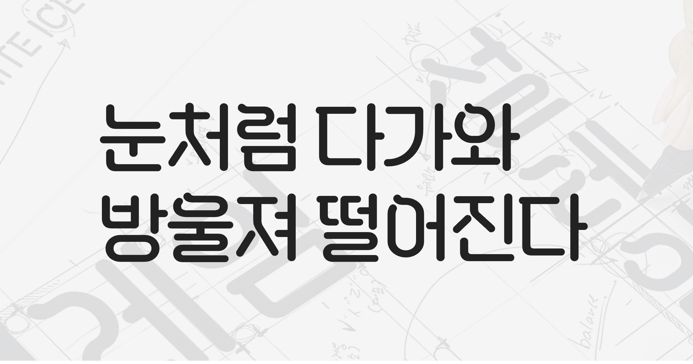 시원한 설레임체
