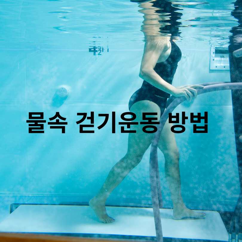 물속에서 걷기운동 효과, 허리·무릎·다이어트까지 잡는 방법!