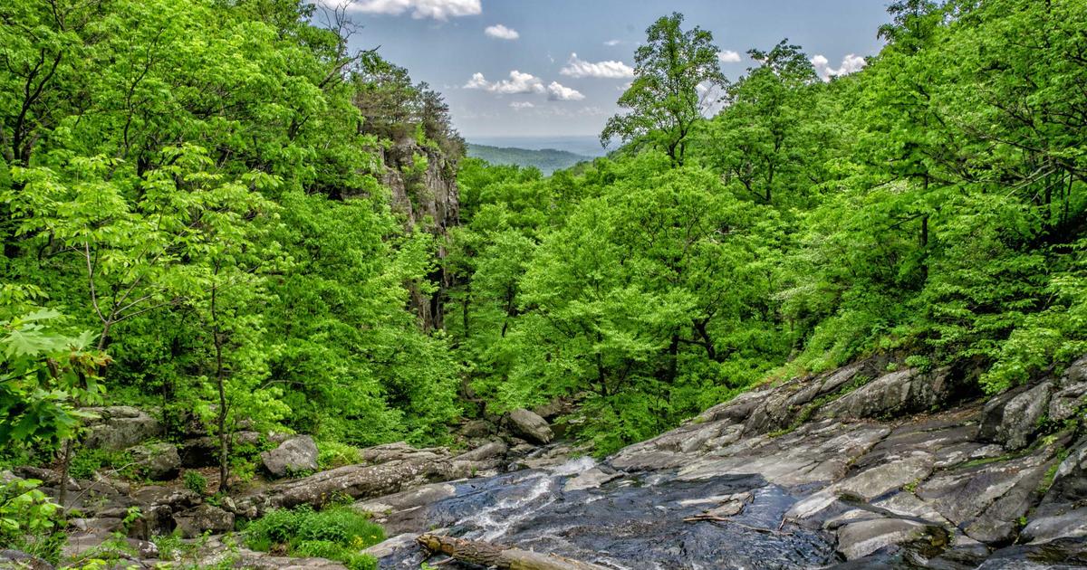 Young person looking at a house model with a laptop, dreaming of home ownership