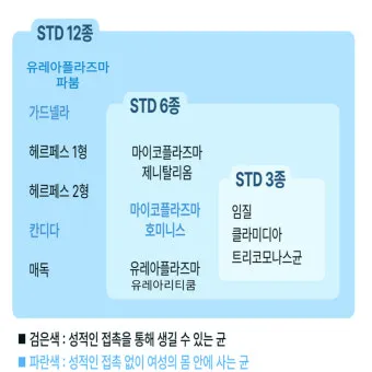 std 12종 검사 완벽 총정리종류 비용 등으로 검사항목_11