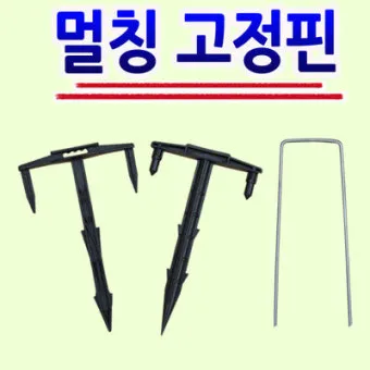 멀칭 필수 가이드 비닐 왕겨 볏짚 잡초 수분관리 효과_3