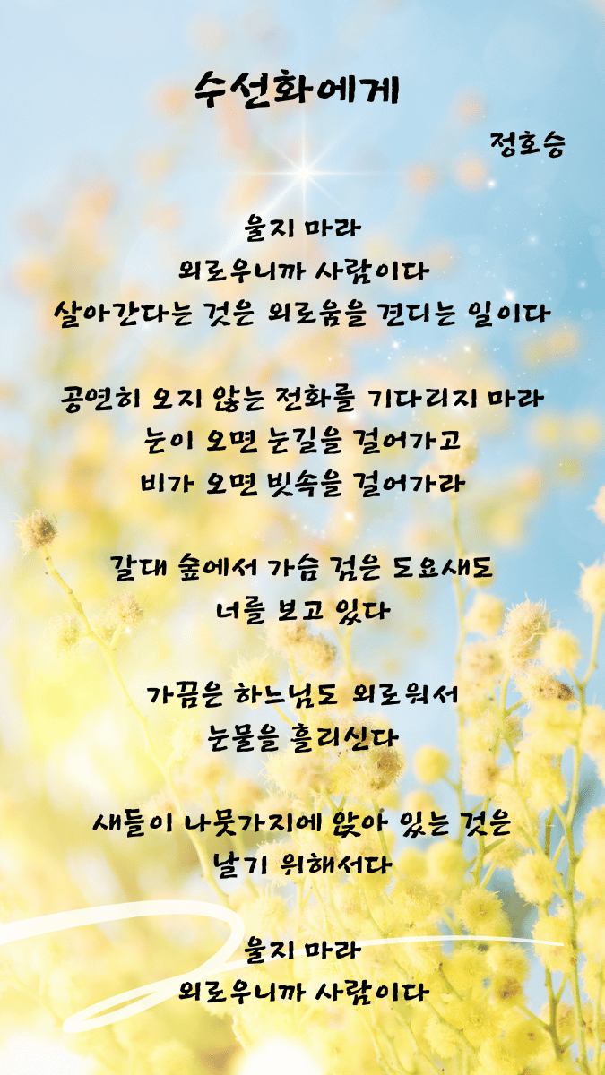 순선화에게 정호승