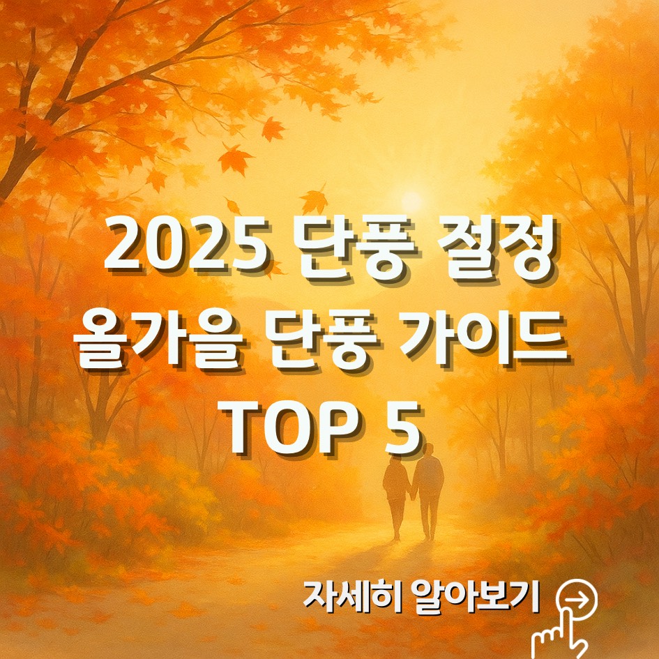 2025 가을 단풍 산행 BEST 5|절정시기·코스·포토스팟·교통 총정리