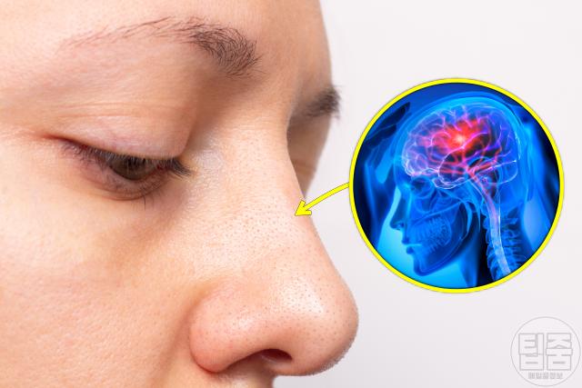 치매 초기 증상 냄새 후각