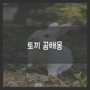 토끼 꿈해몽