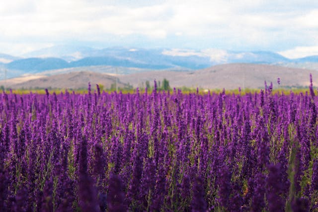 전국 날씨 예보 전망