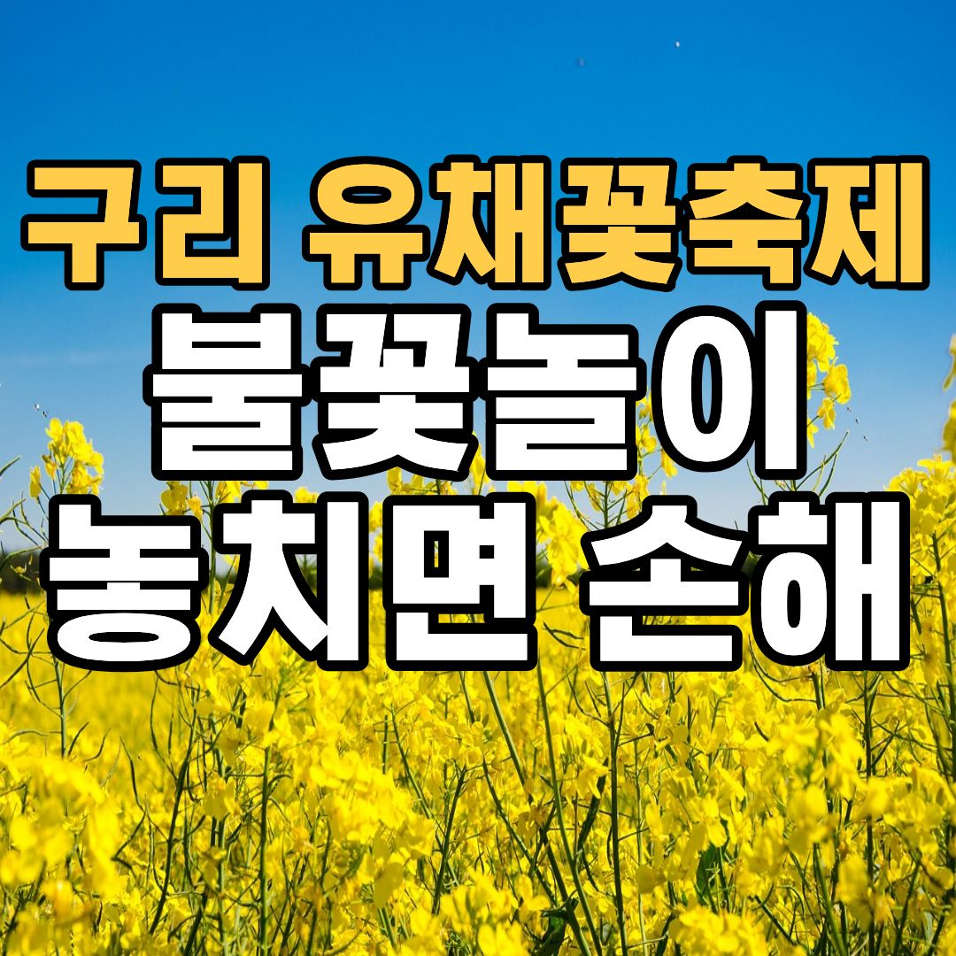 구리 유채꽃축제 2026 불꽃놀이 공연 일정