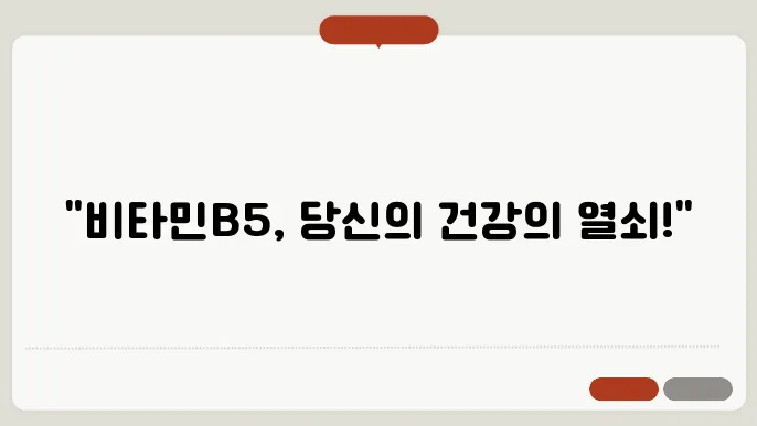 뻌좌버 마타폰B5 하루장량