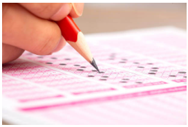 2024 수능 문제 정답 확인