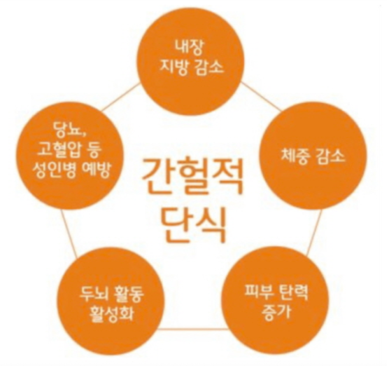 다이어트비법-간헐적단식-공복시간