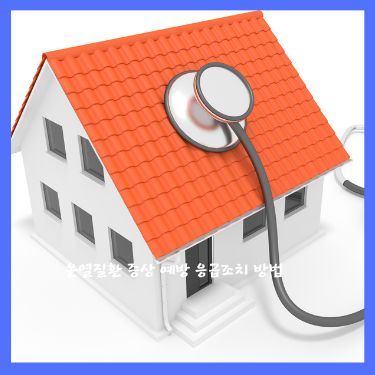 온열질환 증상 예방 응급조치 방법