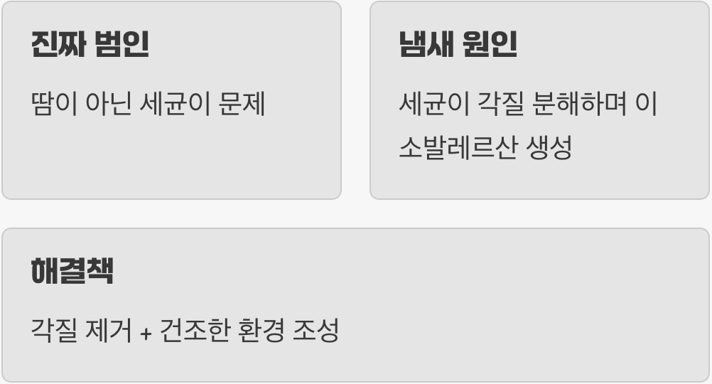 진짜 범인은 땀이 아닌 세균