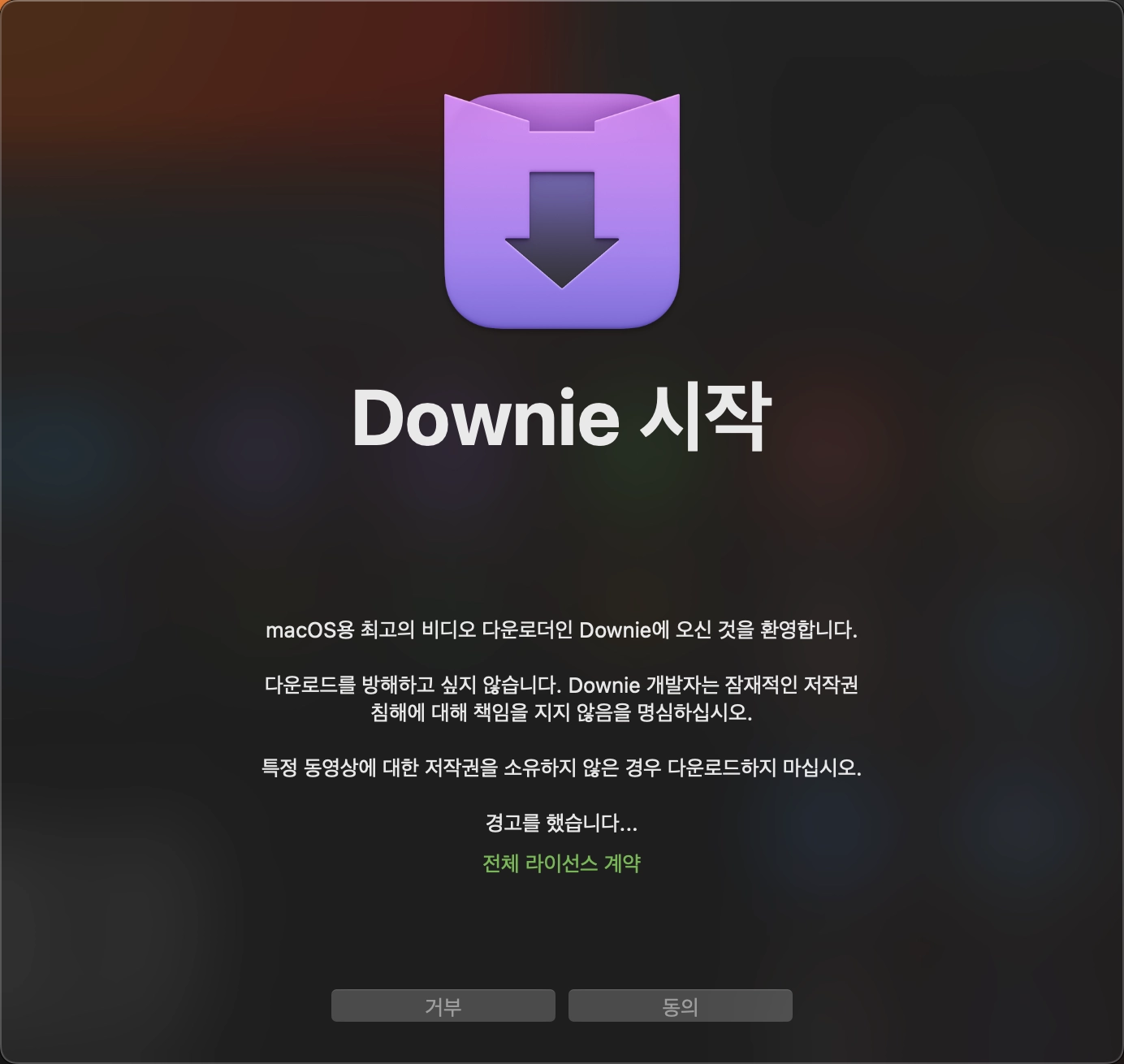 다우니 영상 다운로더 시작하기