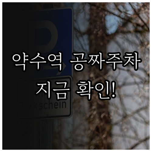 약수역 무료 주차 및 공유 주차면 이..