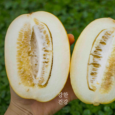 참외씨 먹어도 되나요