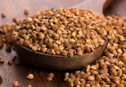 신장에 좋은 음식