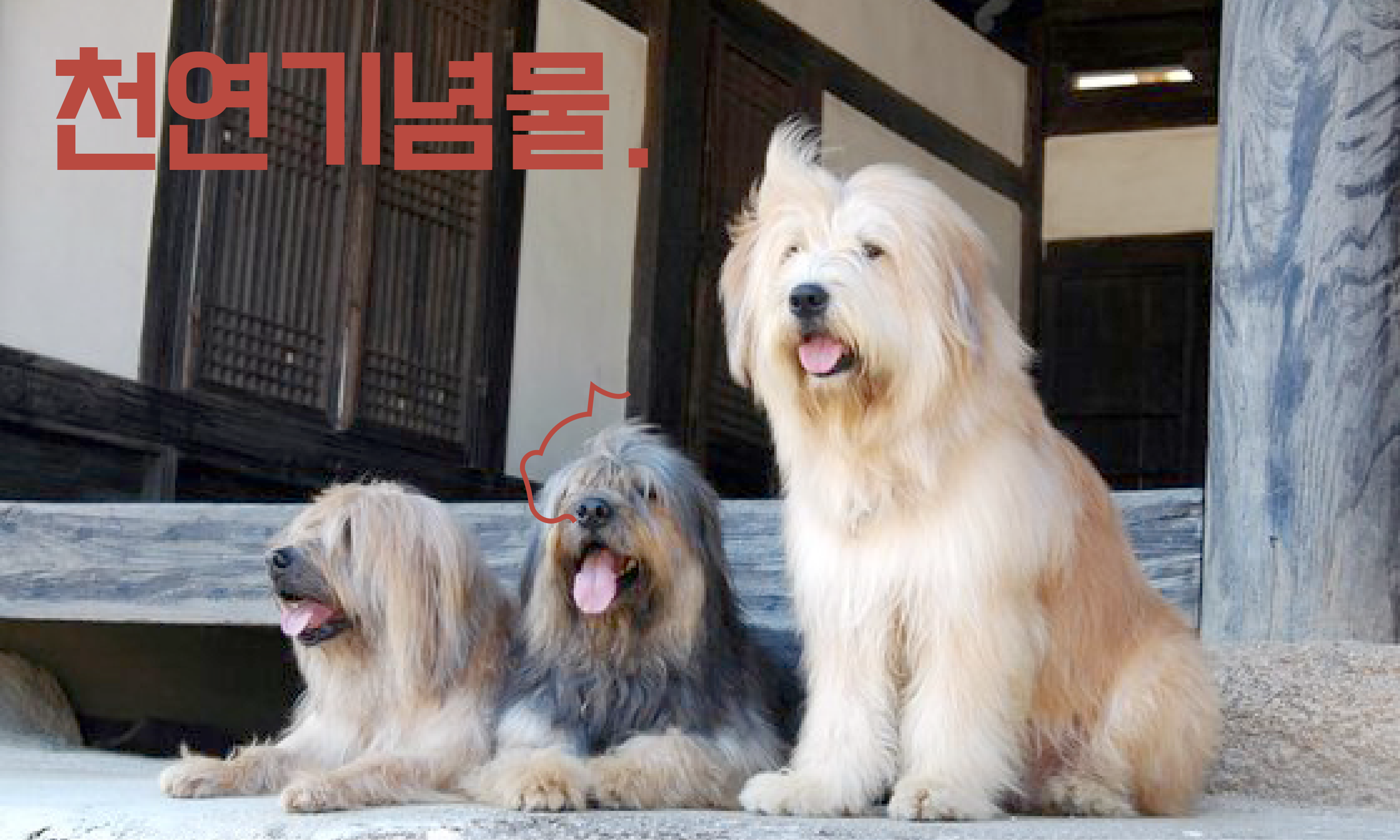 천연기념물