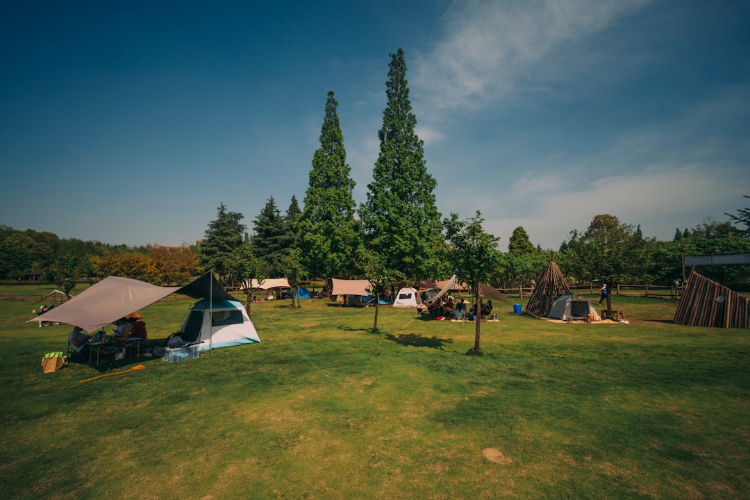 Spring Camp