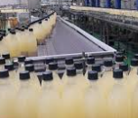 2025년 하반기 국순당 연구직 채용 : 채용일정