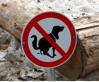 똥(대변)이 몸에 묻는 (묻은) 꿈해몽 상징 이미지