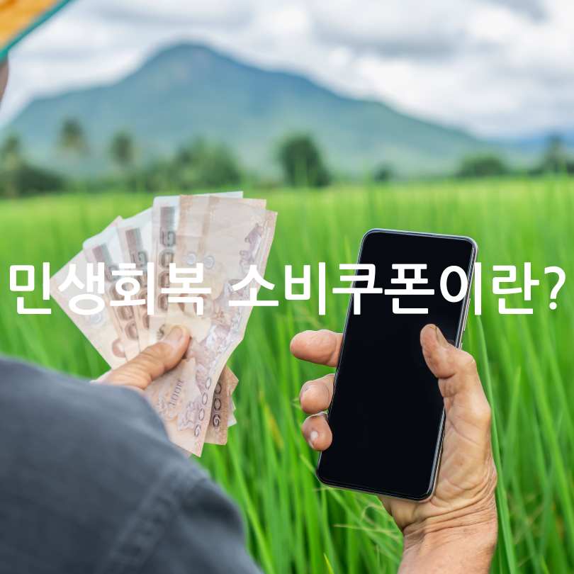민생회복 소비쿠폰 2025 지급 계획! 미성년자 포함