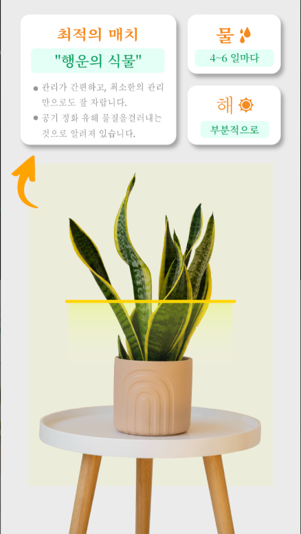 식물이름 찾기 앱 무료 다운로드