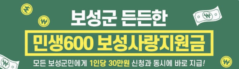 보성군 민생600보성사랑지원금