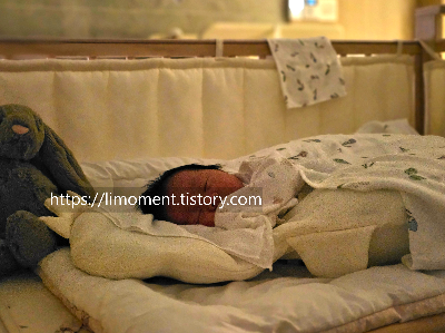 손자 손녀 조카와 첫 만남, 사진은 이렇게 남기세요