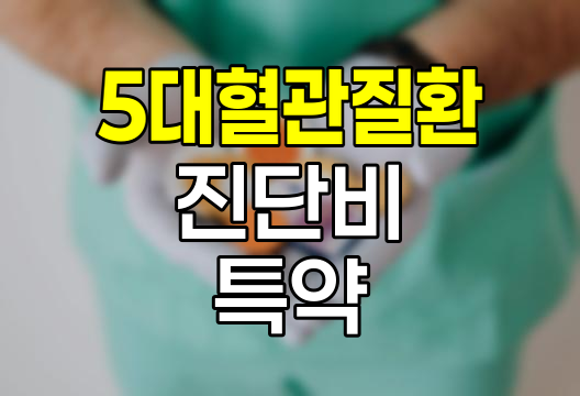 흥국화재 5대혈관질환진단비 특약, 포괄적 혈관 건강 보장의 핵심
