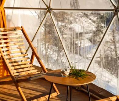 글램핑장 창업에 대하여 알아보기