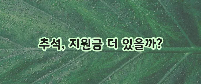 추석 재난 지원금, 명절 위로 지원금