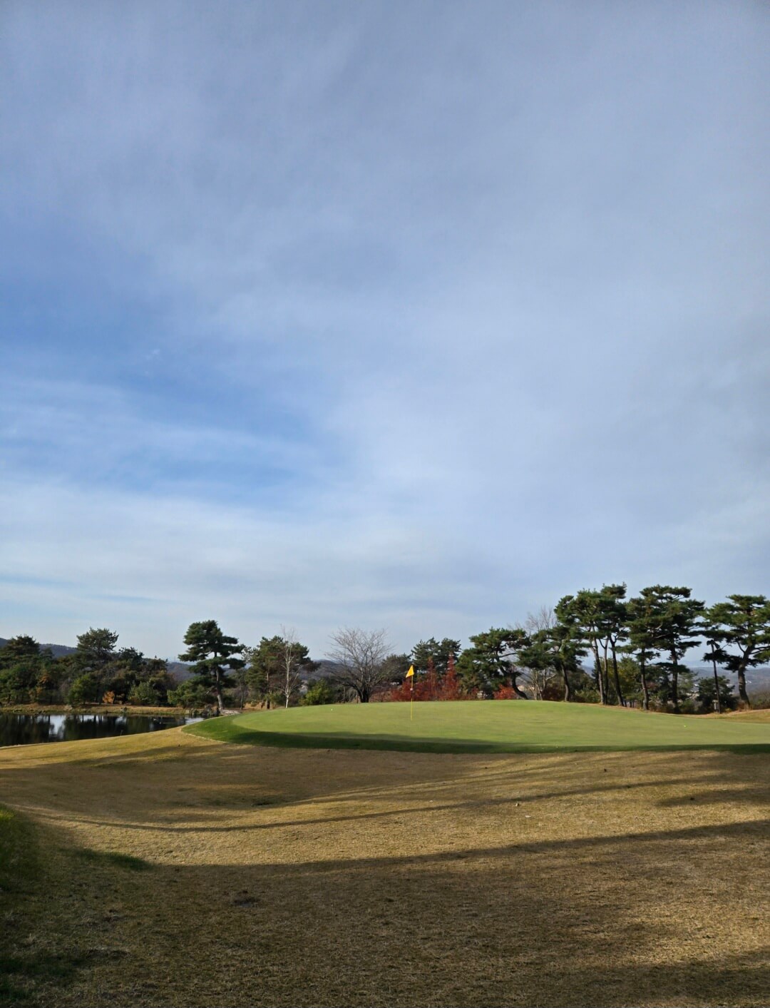 가을로 물들어진 그린