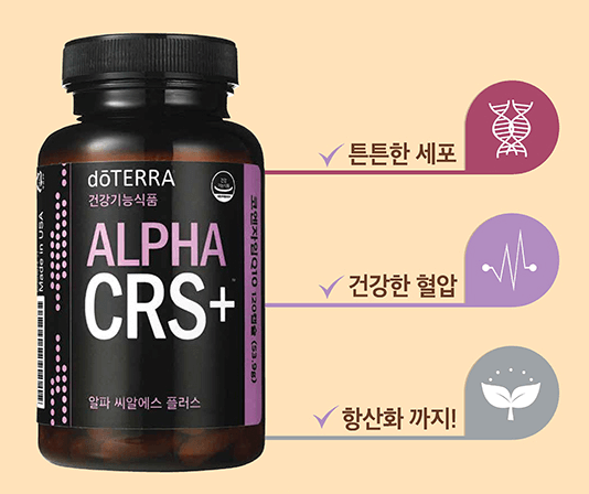 CRS 플러스