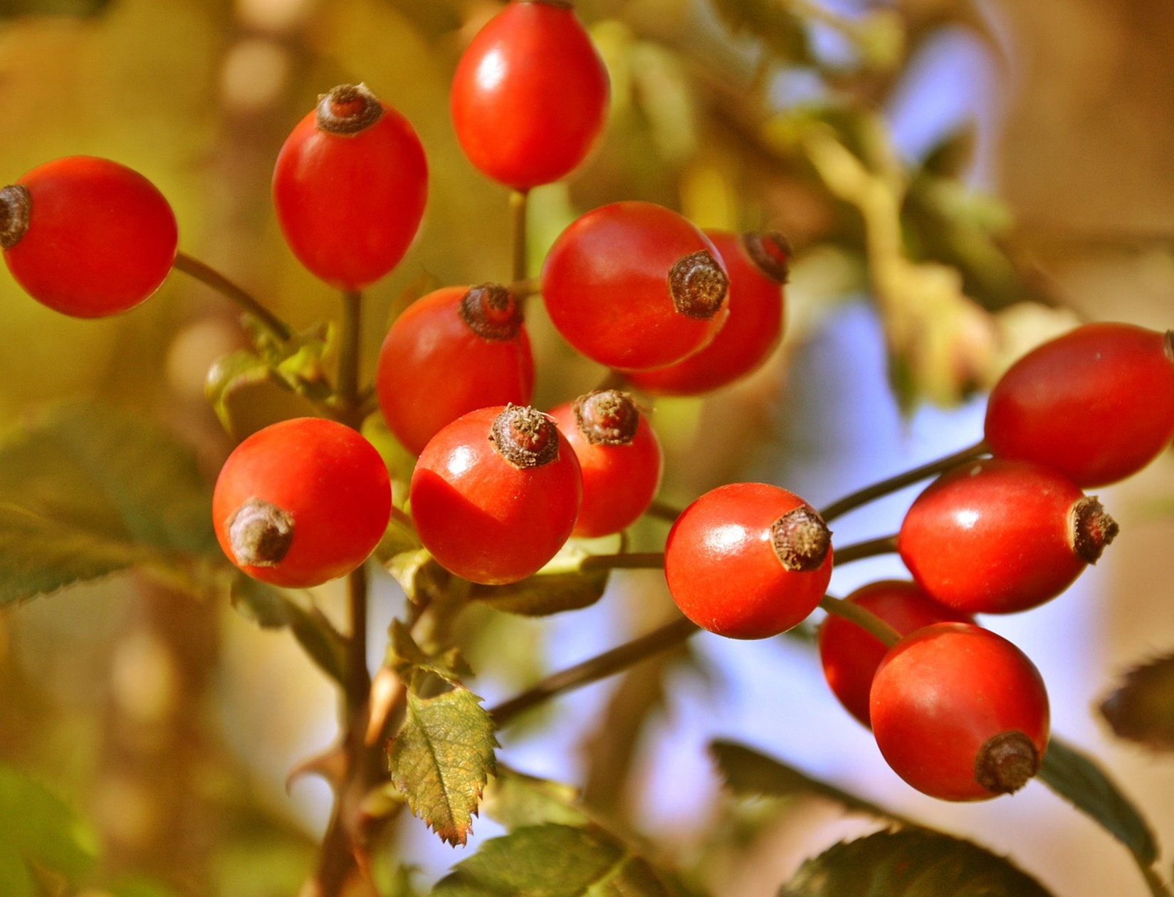 염증이 보내는 신호를 놓치면 생기는 실제 변화!
